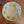 Amalfi Servise Lime skjell