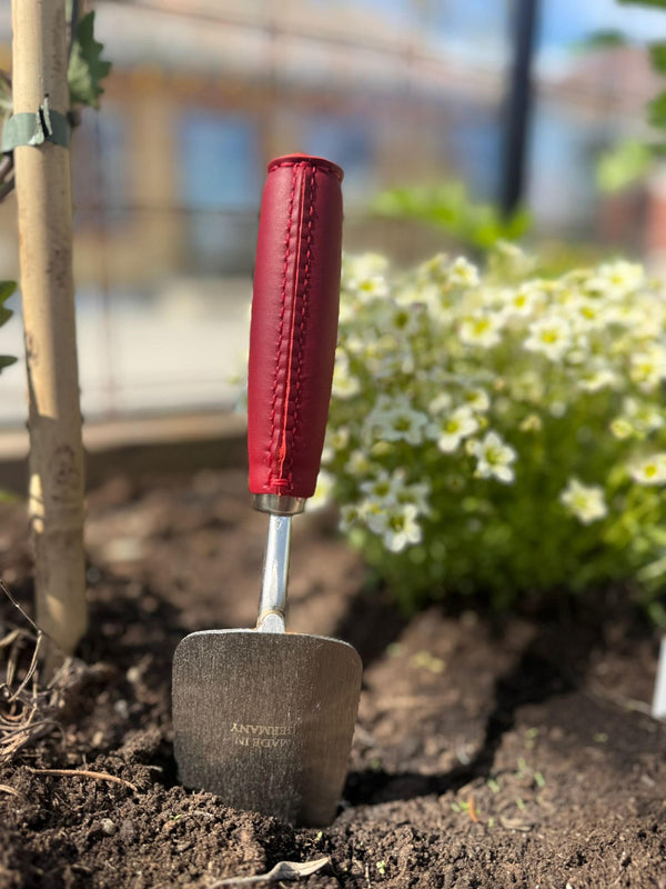 Hagespade, chilli