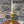Tamegroute Lysestake Oker, medium