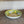 Amalfi Servise Lime skjell