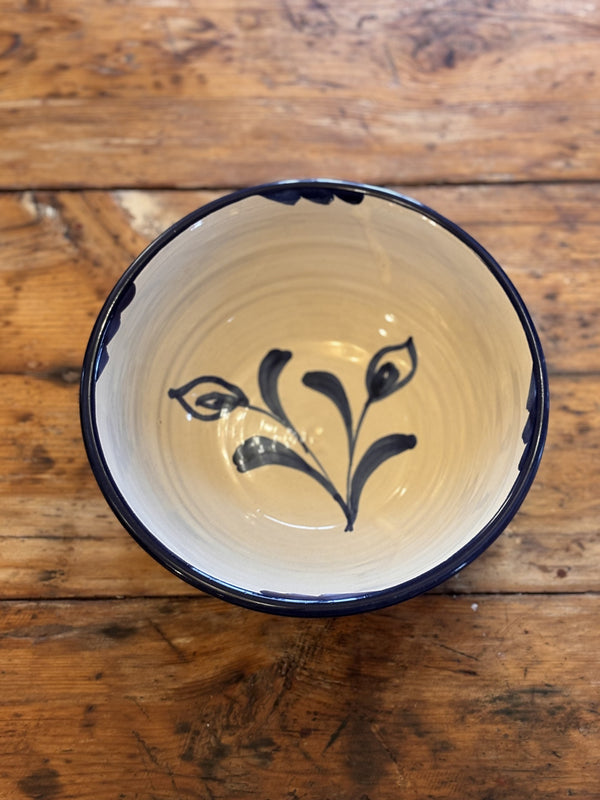 Gandia Salatbolle, Blå