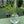 Rund vase