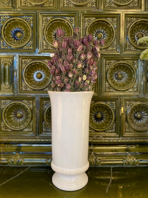 Tørkede blomster, Nigella