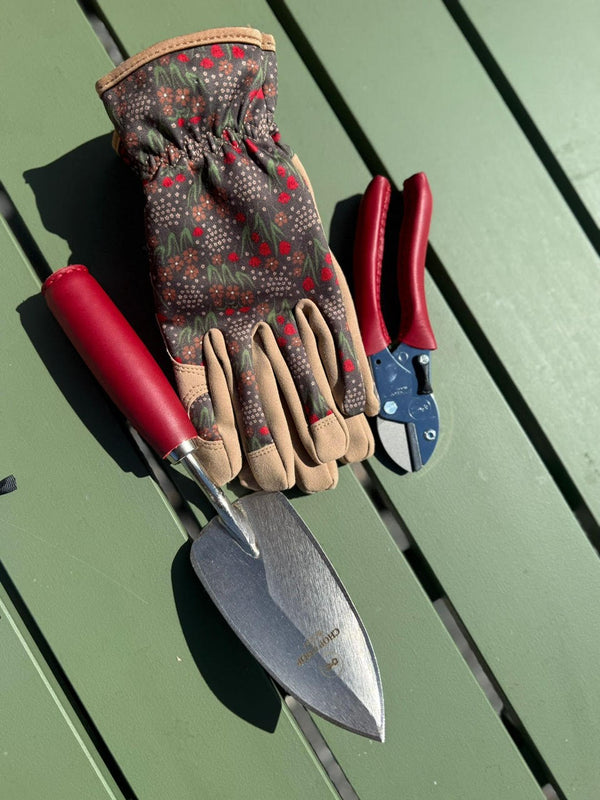 Hagespade, chilli
