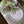 Helene Blanche serveringsbrett, Drop rose Ø49 cm