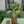 Vase, mørkt tre