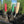 Hagespade, green