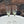 Snøklokke Champagne Glass, Vintage