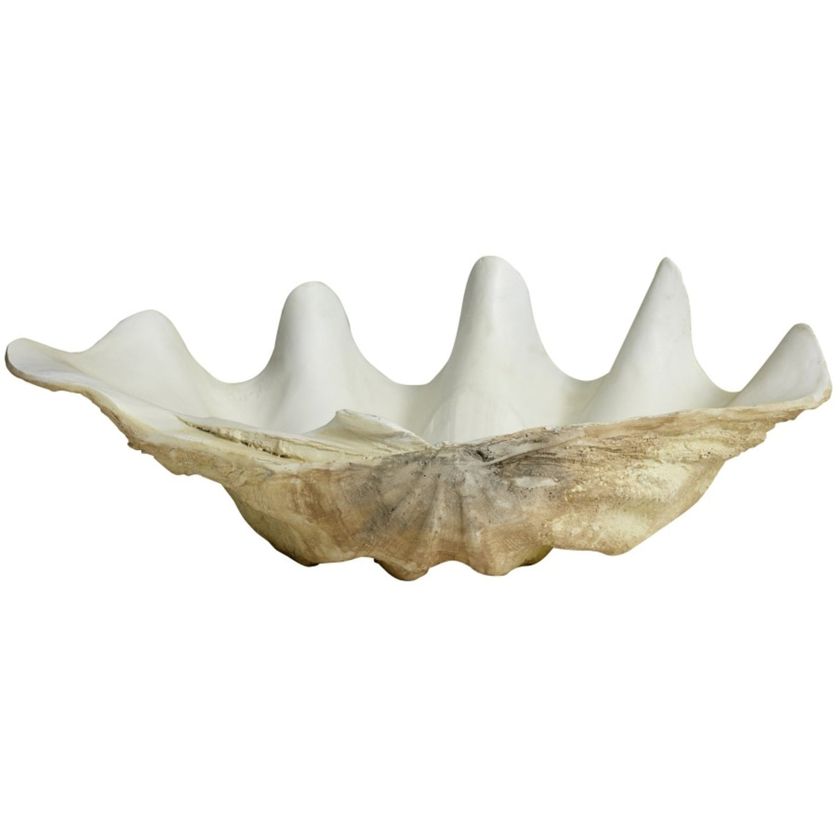 Skjell/shell fat large – Alabaster Studio
